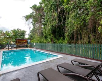 Pineapple Court Hotel - Ocho Rios - Zwembad