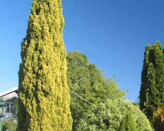 Aalton Motel - Christchurch - Outdoor view