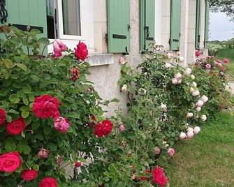 Longère du sud Touraine au Coeur du Val de Loire - Loches - Outdoor view