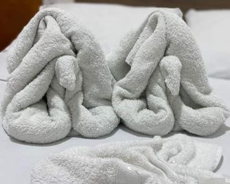 Pousada Verdes Mares - Maragogi - Room amenity