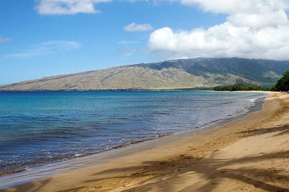 Kealia Resort 101 - Kihei - Plaża