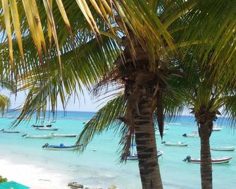 La Salamandra : Private House With Swimming Pool Near Caribbean Sea And Golf - Puerto Aventuras - Beach