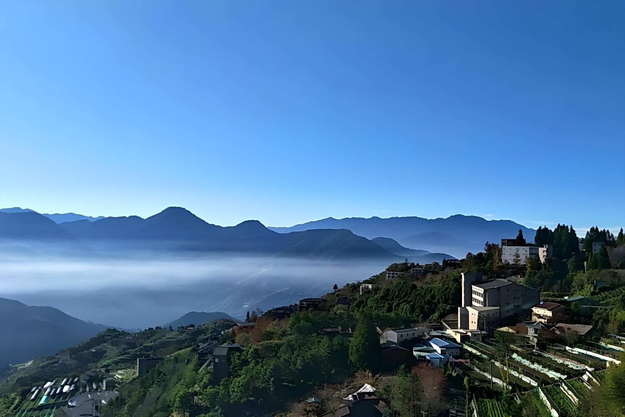 فلاور آند ستار جاردن