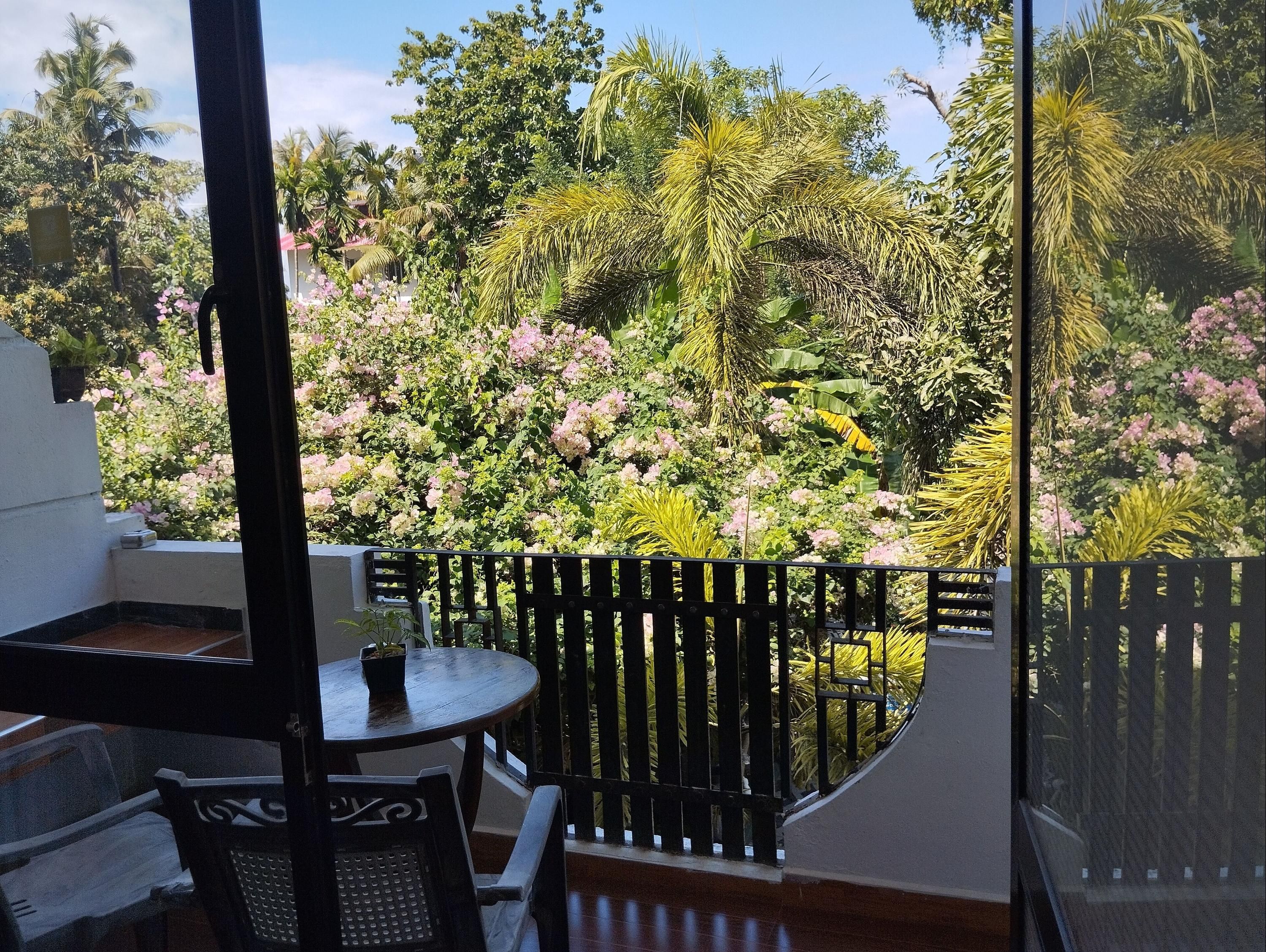 Awon Mirissa - Mirissa - מרפסת