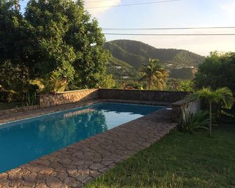 Enjoy the lovely Carpe Diem villa in the unspoiled Caribbean isle of Montserrat - Old Towne - Pool