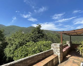 Renovated 15S farmhouse with swimming pool 10mx5m in full nature calm unique frame guaranteed - Ceret - Balkón