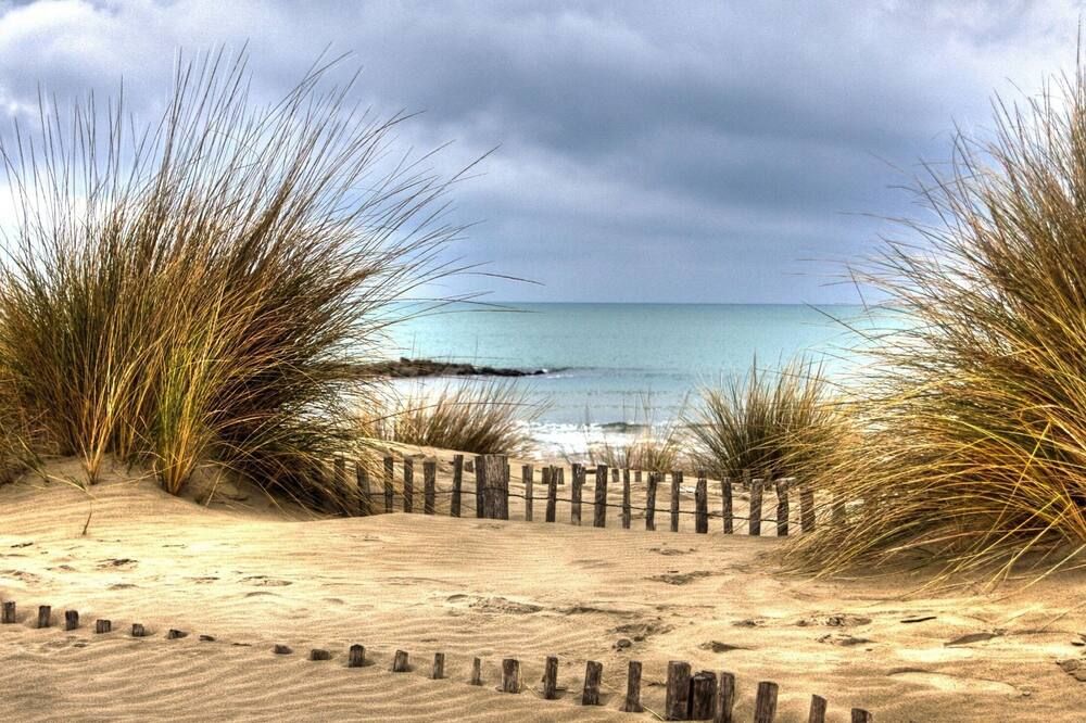 Le Dauphin Bleu - סנט-מארי דה-לה-מר - חוף