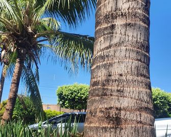 Hotel Recreio Dos Bandeirantes - Sertãozinho - Venkovní prostory