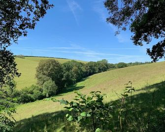 Tregondale Manor Farm - Liskeard - Outdoor view