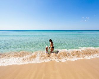 Air-conditioned Studio Near the Sea With Wi-fi Garden and Bike - Porto Cesareo - Beach