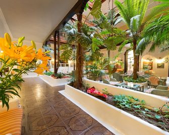 Hotel Monopol - Puerto de la Cruz - Balcone