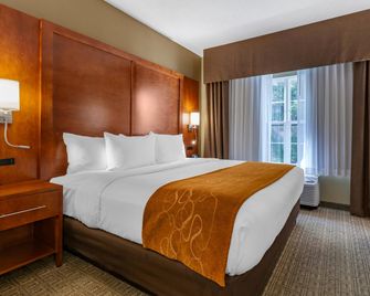 Comfort Suites Marquette - Marquette - Bedroom