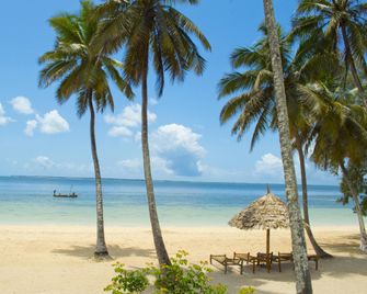 Maars Resort Chwaka - Chwaka - Strand