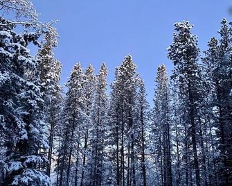 Private studio suite on an acreage in the forest - Bragg Creek - Vista del exterior