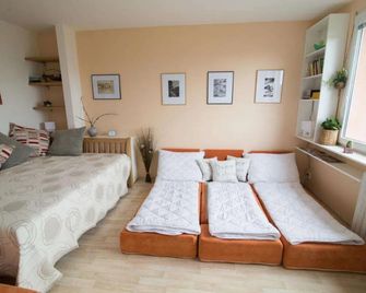 Apartman Labe - Ústí nad Labem - Bedroom