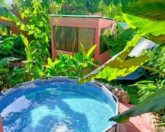 Casa Rosa - Sayulita - Piscina