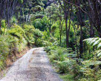 Medland Magic-enjoy privacy, views and the beach - Great Barrier Island
