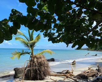 Le Colibri Rouge Hotel Cabinas - Cahuita - Strand