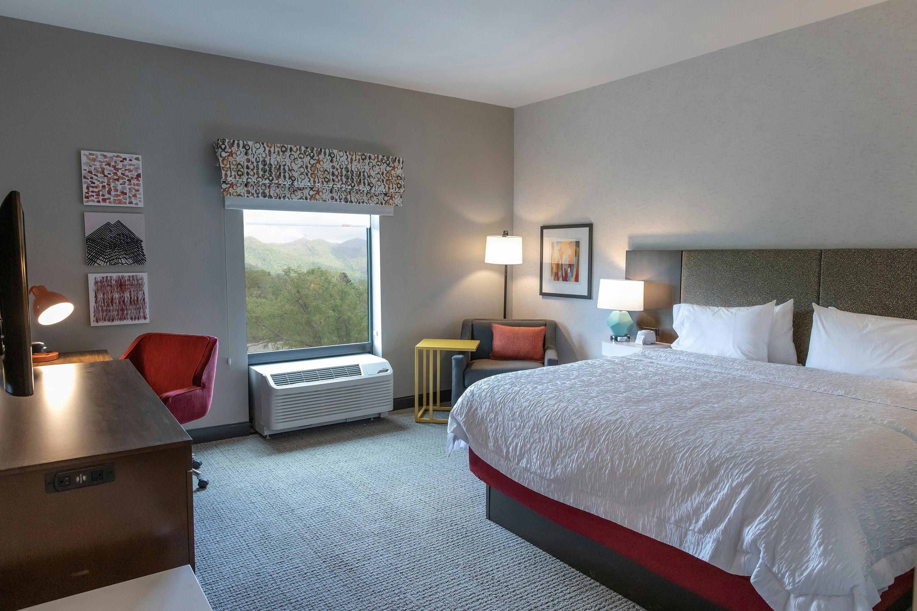 Hampton Inn by Hilton Black Mountain - Black Mountain - Bedroom