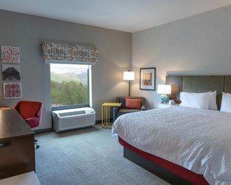 Hampton Inn by Hilton Black Mountain - Black Mountain - Schlafzimmer