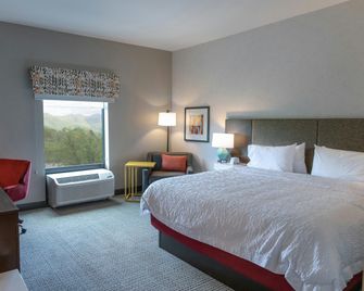 Hampton Inn by Hilton Black Mountain - Black Mountain - Bedroom