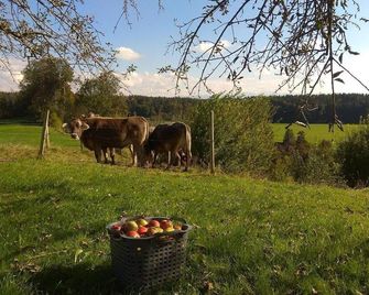 Ferienwohnung Trifts l Wallbox l Parkplatz l AusZeit Card - Wangen im Allgäu - Pokój dzienny