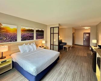 Days Inn & Suites by Wyndham Houston / West Energy Corridor - Mission Bend - Slaapkamer