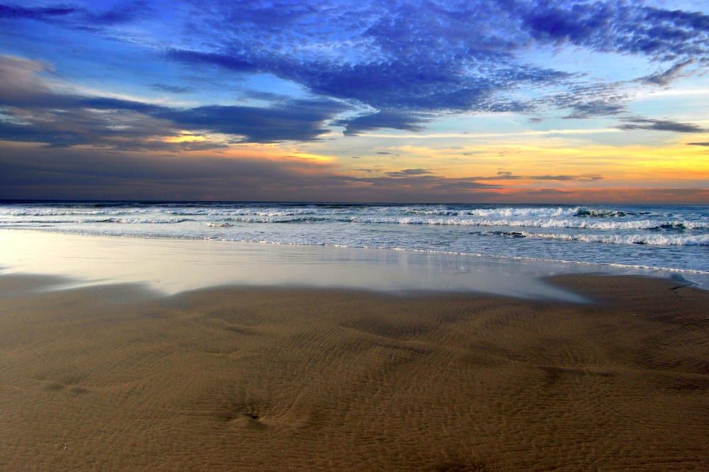 Mar Paraiso Queen - אקפולקו - חוף