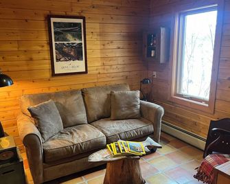Berkshire Mountain Lakefront Log House Family Retreat - Salisbury - Sala de estar