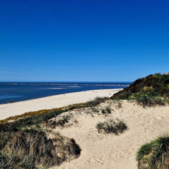 4 Star Holiday Home in Blavand – Blåvand
