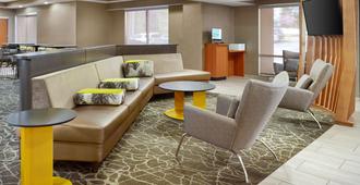 SpringHill Suites by Marriott Raleigh-Durham Airport/Research Triangle Park - Durham - Lounge