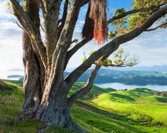 Coromandel Shelly Beach Top 10 Holiday Park - Coromandel