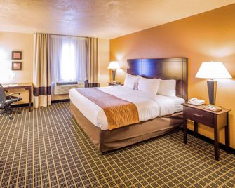 Comfort Inn and Suites Gunnison-Crested Butte - Gunnison - Slaapkamer
