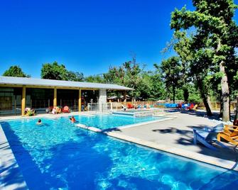 阿爾比隆達克野營溫泉酒店 - 阿爾比 - 阿爾比 - 游泳池