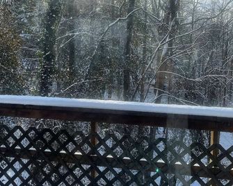 TreeTops in Town Private & Peaceful - Charleston - Balcony