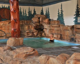 Stoney Creek Hotel St. Joseph - St Joseph