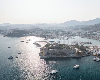 Artemis Hotel - Αλικαρνασσός - Θέα στην ύπαιθρο