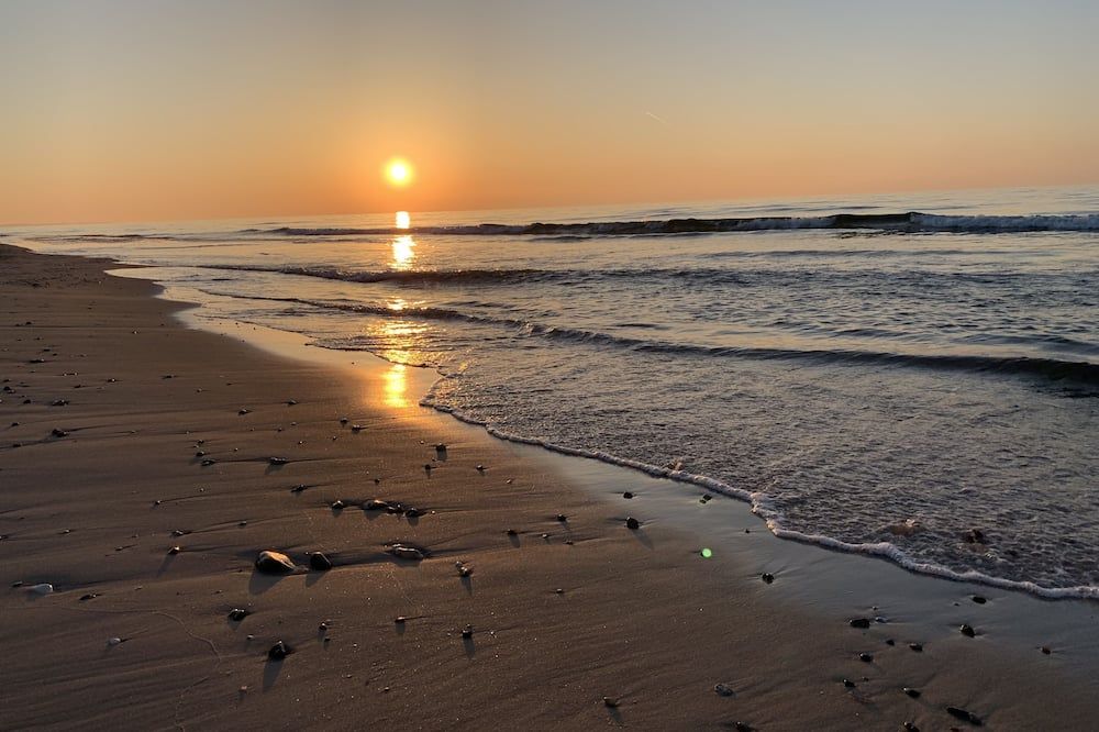 ٕدرايتسنتر جامربغت - هوستل