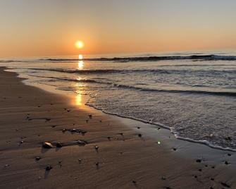 Idraetscenter Jammerbugt - Fjerritslev - Beach
