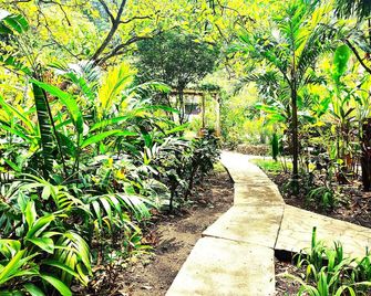 Maya Mountain Lodge - San Ignacio - Utomhus