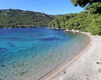 One bedroom apartment near beach Žuljana, Pelješac (A-10228-b) - Ston - Beach