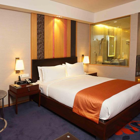 Holiday Inn New Delhi Mayur Vihar Noida By IHG image 1