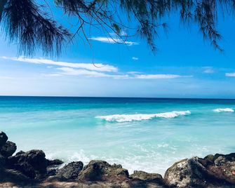 Divi Southwinds Beach Resort - Christchurch - Plage