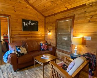 Open modern Cabin, fishing, shooting range, tranquil/private, firepit, 4W, canoe - Bridgeport - Living room