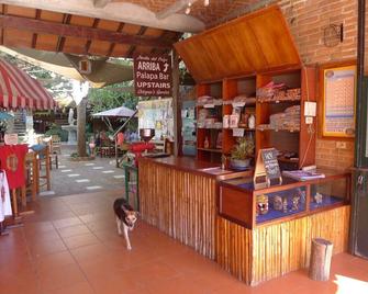The Octopus's Garden Hostel - La Cruz de Huanacaxtle - Bar