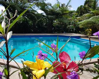 Remote, Romantic Tropical Villa with outdoor pool—15-minute walk to the beach! - Natewa - Pool