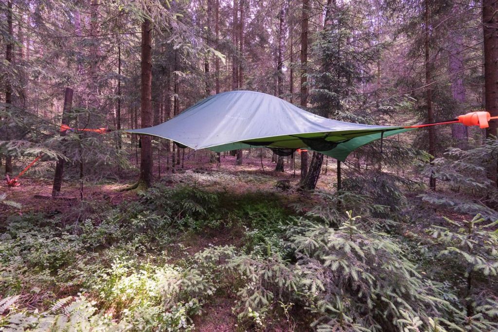 Baumzelt im Wald - Regen