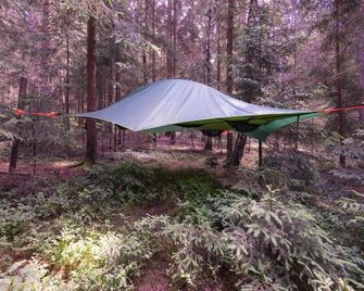 Baumzelt im Wald - Regen