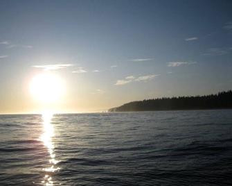 A Shack In The Woods - Port Renfrew