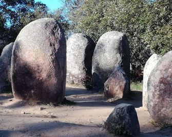 Mirarte - Montemor-o-Novo
